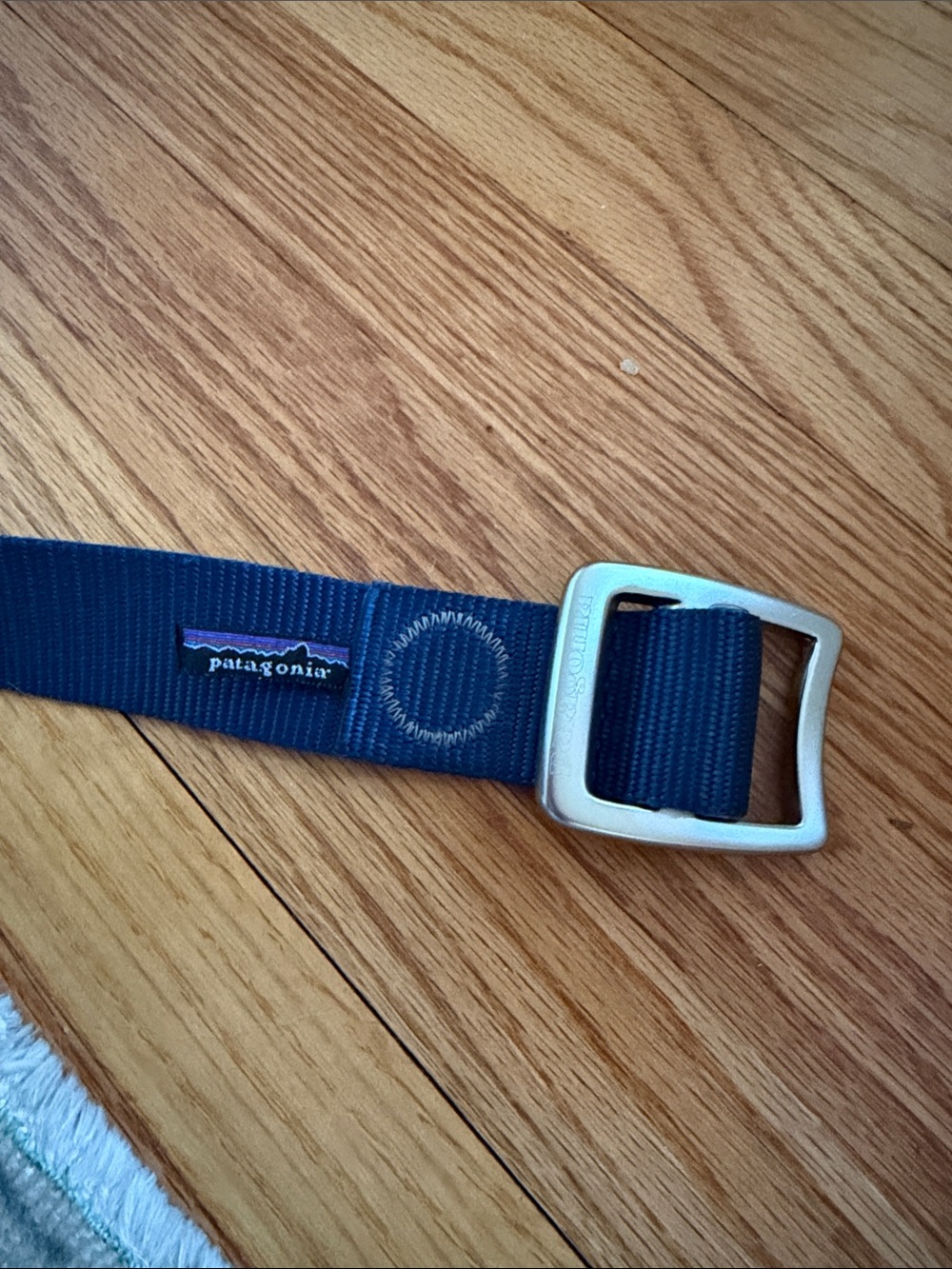 Patagonia Tech Web Belt